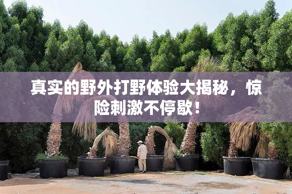 真实的野外打野体验大揭秘，惊险刺激不停歇！