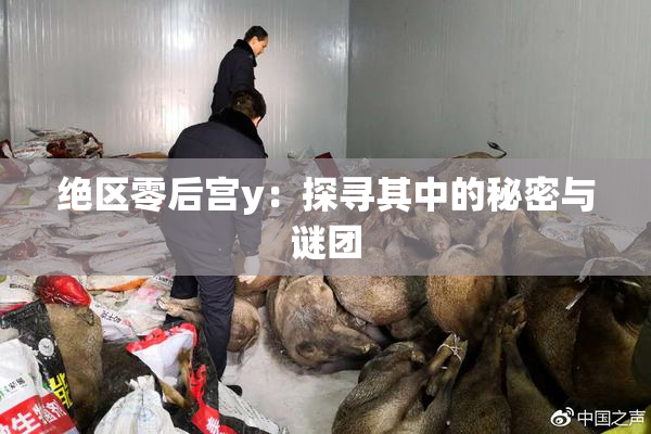 绝区零后宫y：探寻其中的秘密与谜团