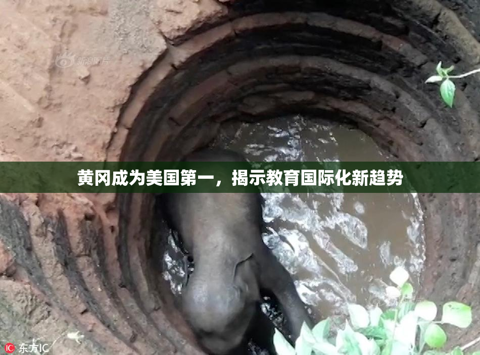 黄冈成为美国第一，揭示教育国际化新趋势