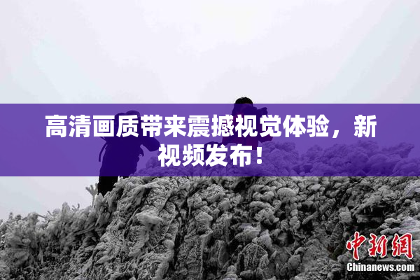 高清画质带来震撼视觉体验，新视频发布！