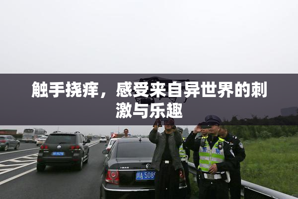 触手挠痒，感受来自异世界的刺激与乐趣