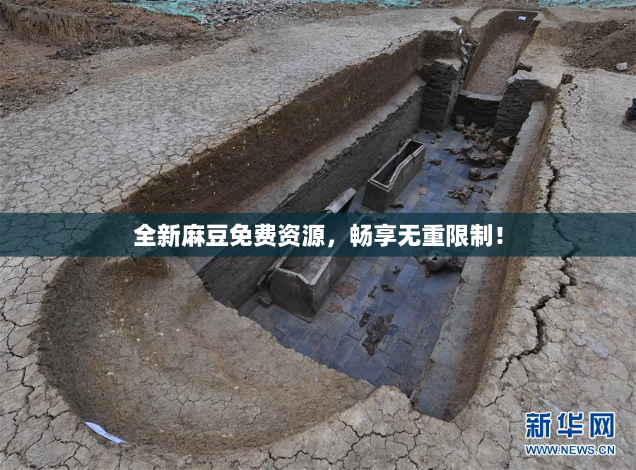 全新麻豆免费资源，畅享无重限制！