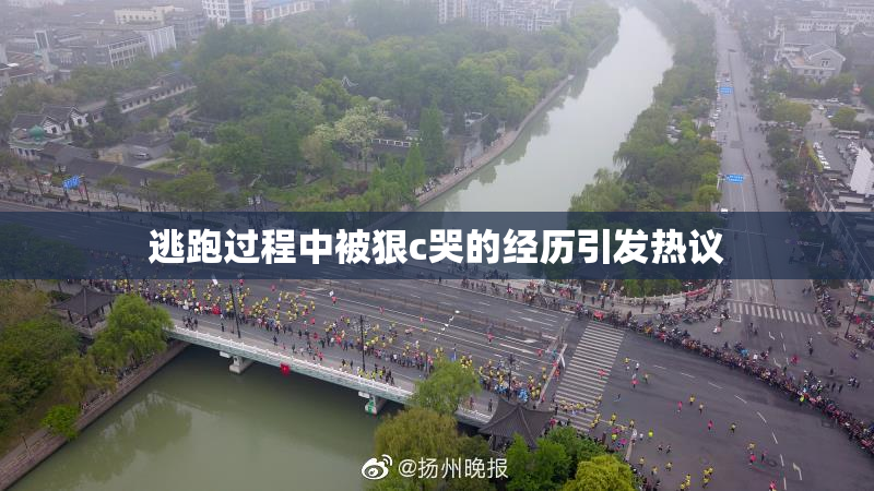 逃跑过程中被狠c哭的经历引发热议
