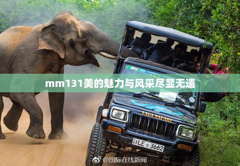 mm131美的魅力与风采尽显无遗