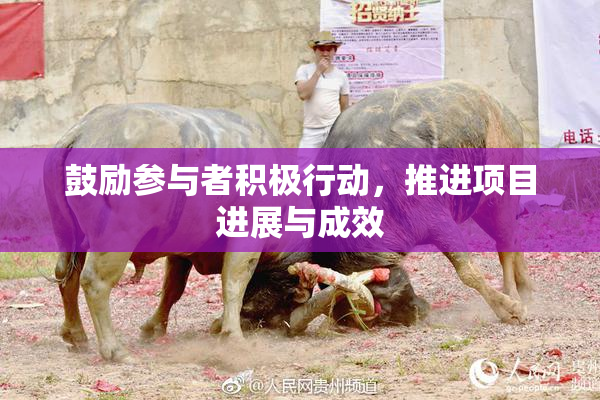 鼓励参与者积极行动，推进项目进展与成效