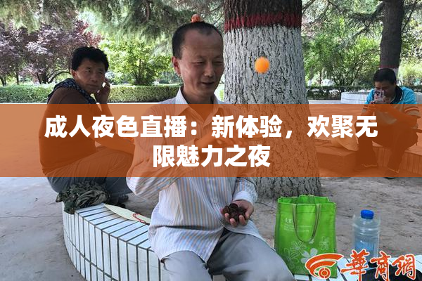 成人夜色直播：新体验，欢聚无限魅力之夜