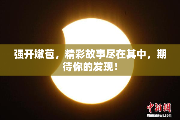 强开嫩苞，精彩故事尽在其中，期待你的发现！