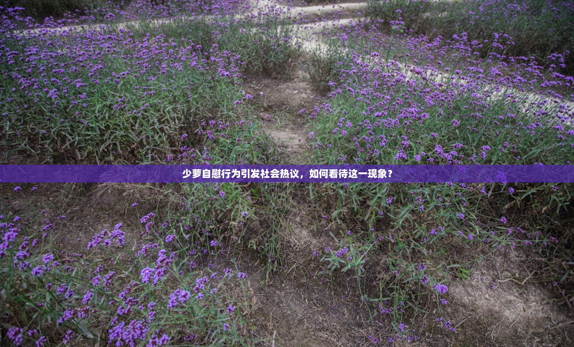 少萝自慰行为引发社会热议，如何看待这一现象？