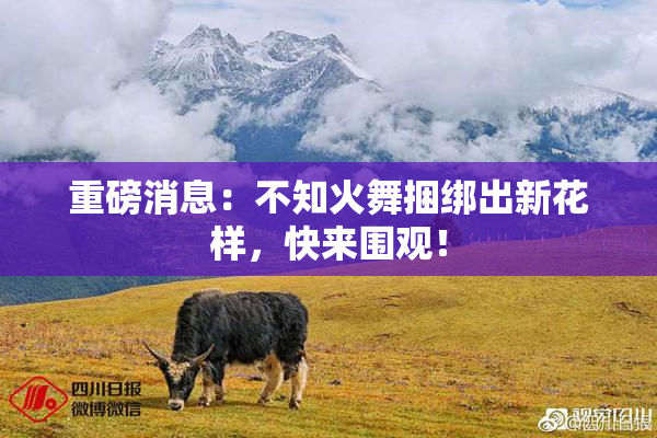 重磅消息：不知火舞捆绑出新花样，快来围观！