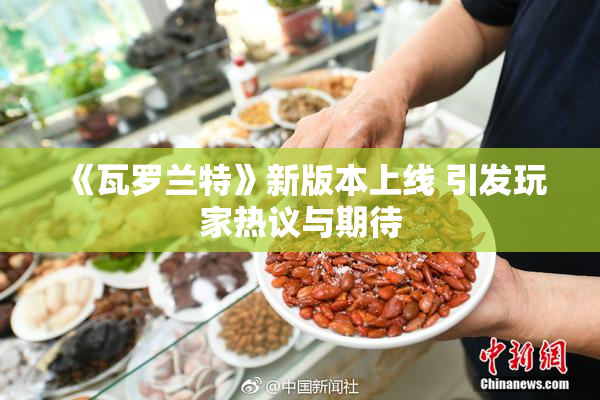 《瓦罗兰特》新版本上线 引发玩家热议与期待