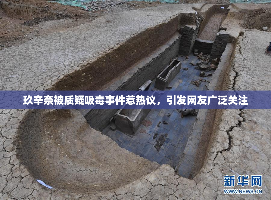玖辛奈被质疑吸毒事件惹热议，引发网友广泛关注