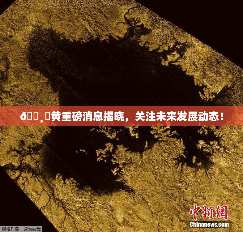 🌸‌黄重磅消息揭晓，关注未来发展动态！
