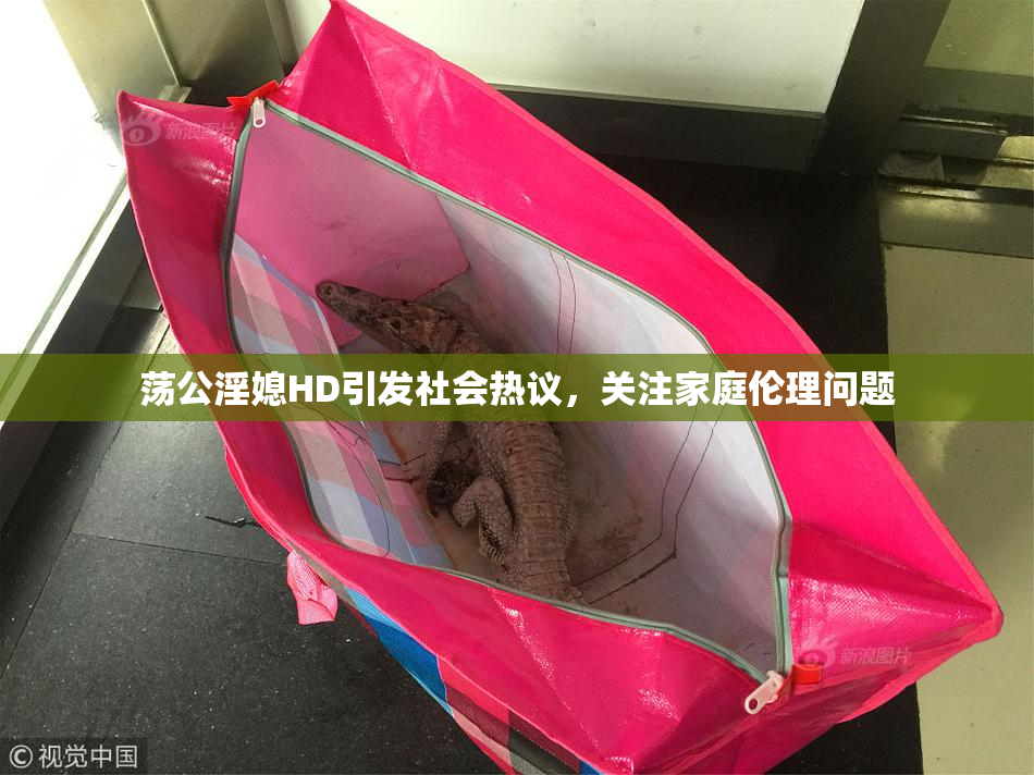 荡公淫媳HD引发社会热议，关注家庭伦理问题