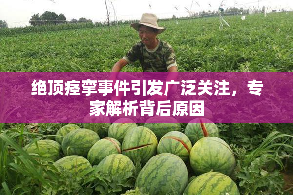 绝顶痉挛事件引发广泛关注，专家解析背后原因