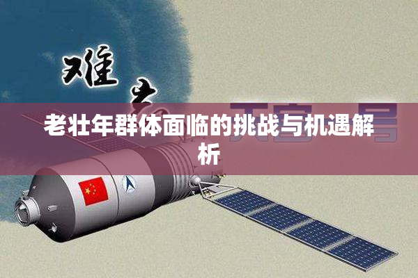 老壮年群体面临的挑战与机遇解析