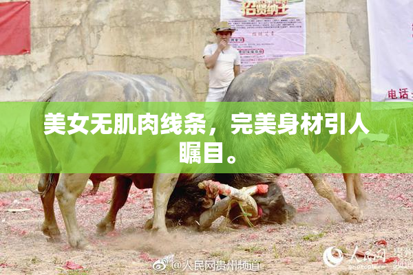 美女无肌肉线条，完美身材引人瞩目。