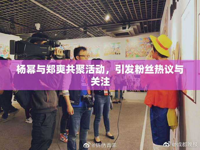 杨幂与郑爽共聚活动，引发粉丝热议与关注