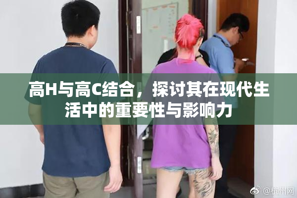 高H与高C结合，探讨其在现代生活中的重要性与影响力