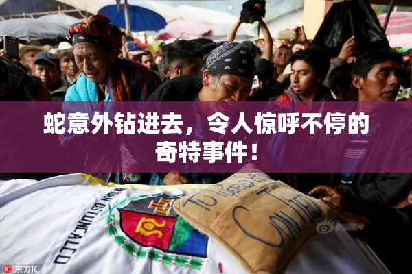 蛇意外钻进去，令人惊呼不停的奇特事件！