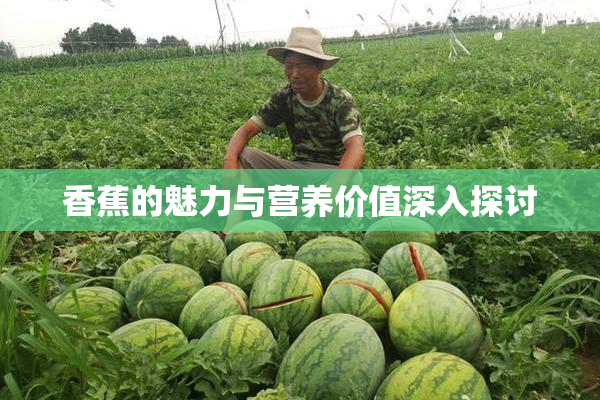 香蕉的魅力与营养价值深入探讨