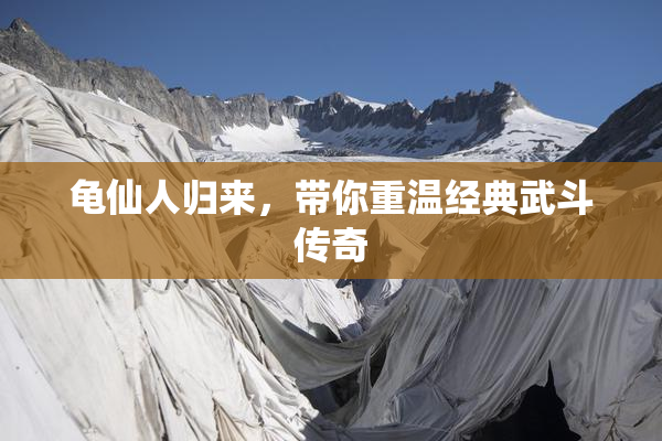 龟仙人归来，带你重温经典武斗传奇