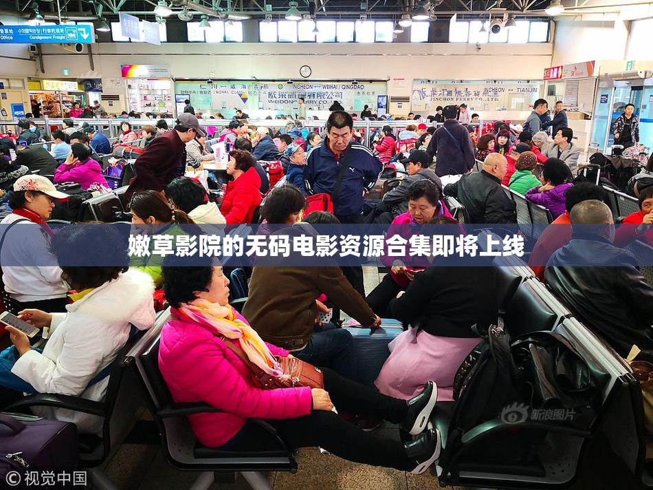 嫩草影院的无码电影资源合集即将上线