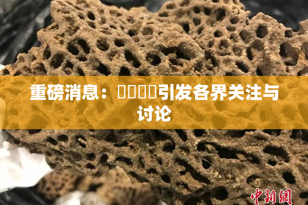 重磅消息：馃悢馃悢引发各界关注与讨论