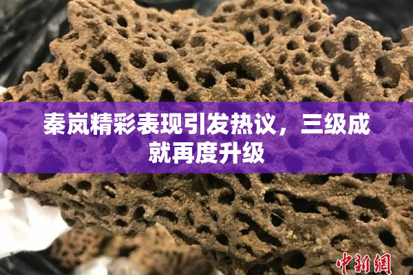 秦岚精彩表现引发热议，三级成就再度升级