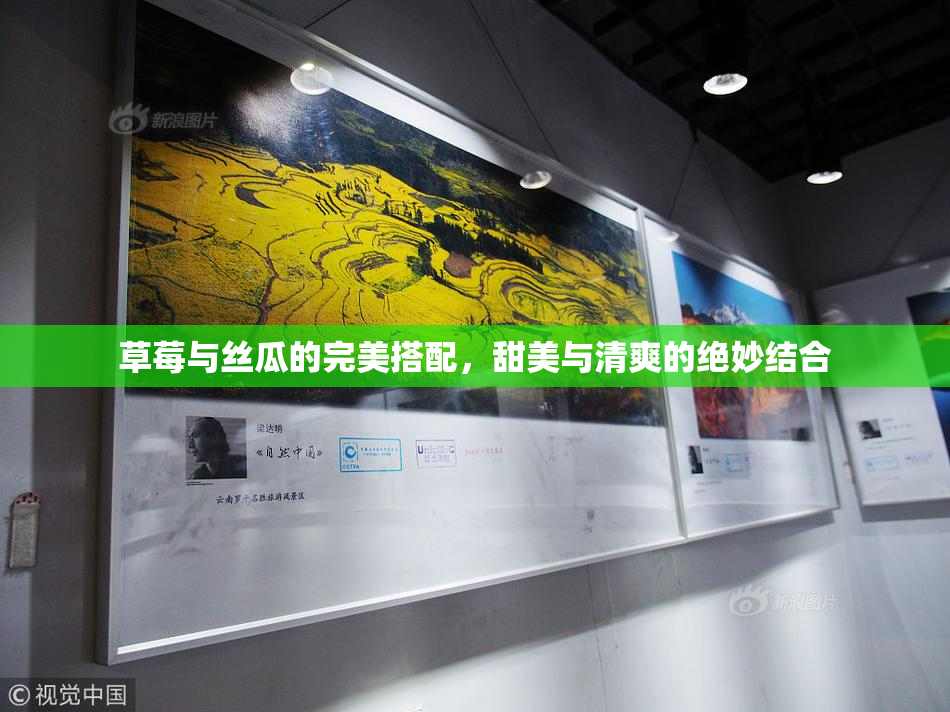 草莓与丝瓜的完美搭配，甜美与清爽的绝妙结合