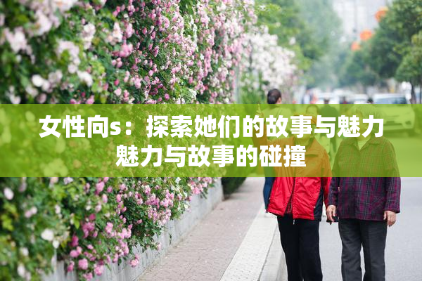 女性向s：探索她们的故事与魅力魅力与故事的碰撞