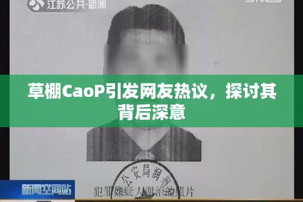 草棚CaoP引发网友热议，探讨其背后深意