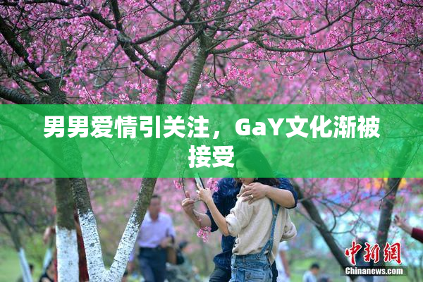 男男爱情引关注，GaY文化渐被接受