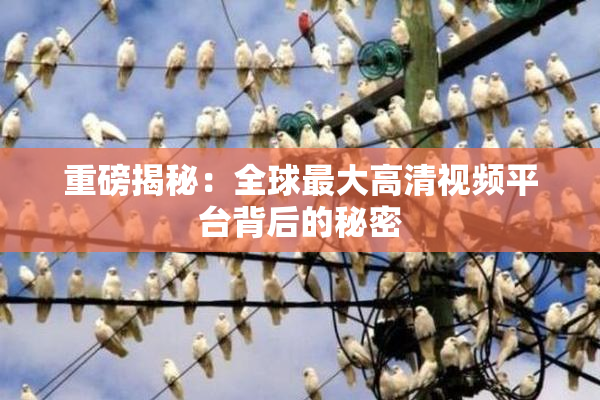 重磅揭秘：全球最大高清视频平台背后的秘密