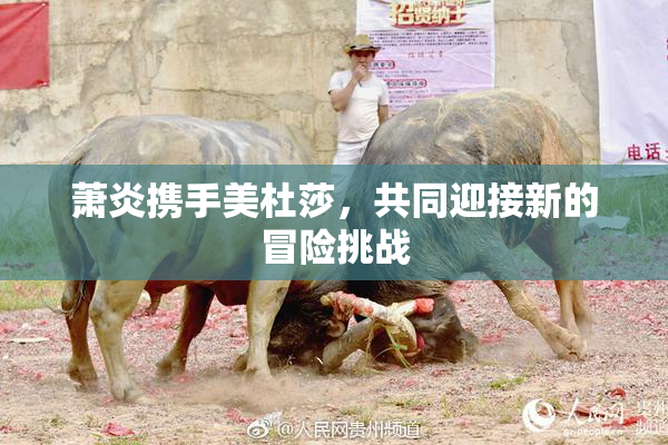 萧炎携手美杜莎，共同迎接新的冒险挑战