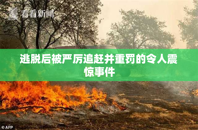 逃脱后被严厉追赶并重罚的令人震惊事件