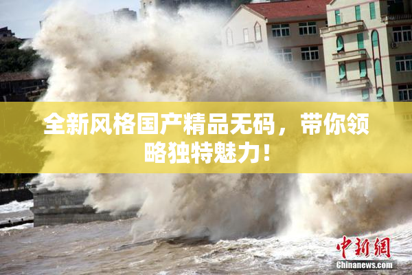 全新风格国产精品无码，带你领略独特魅力！