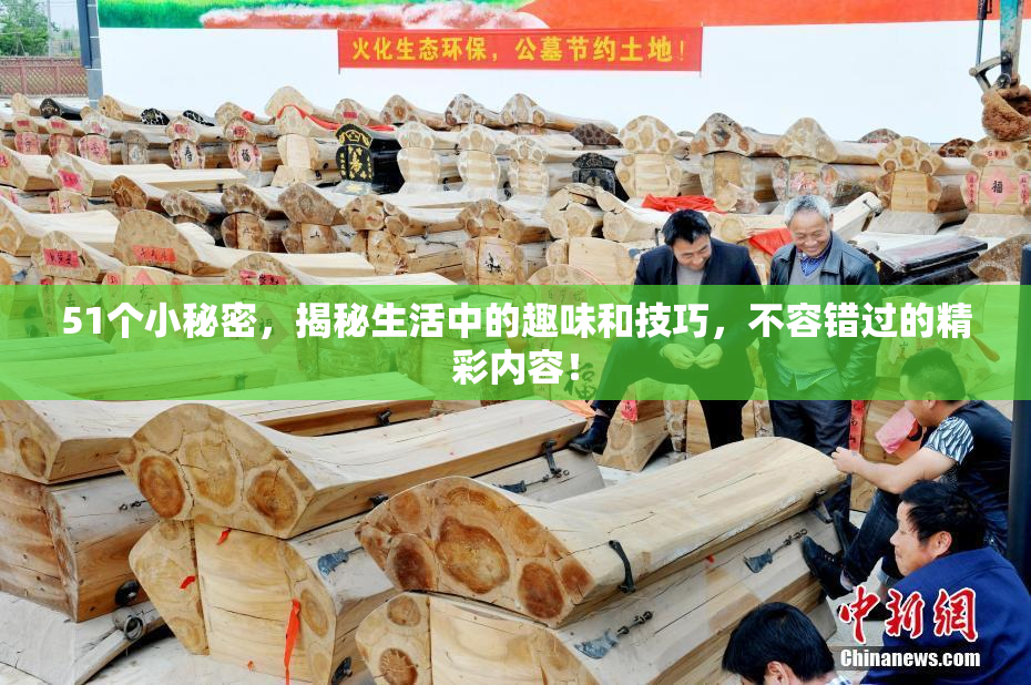 51个小秘密，揭秘生活中的趣味和技巧，不容错过的精彩内容！