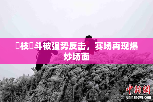 狛枝凪斗被强势反击，赛场再现爆炒场面