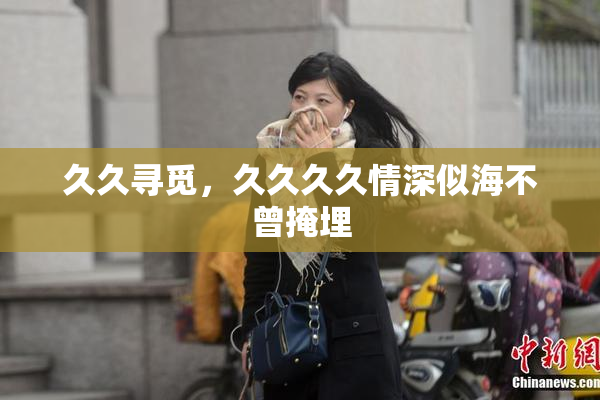 久久寻觅，久久久久情深似海不曾掩埋