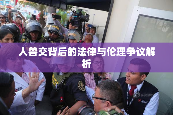 人兽交背后的法律与伦理争议解析