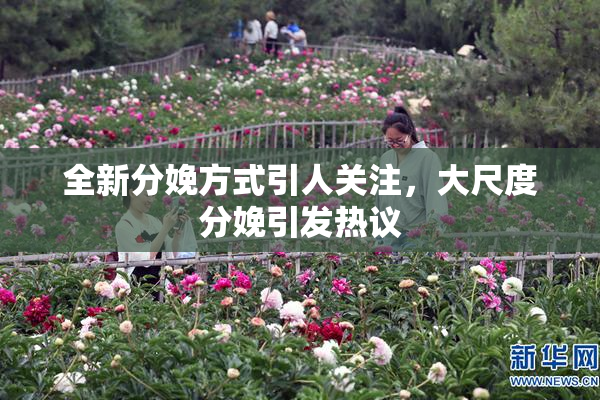 全新分娩方式引人关注，大尺度分娩引发热议