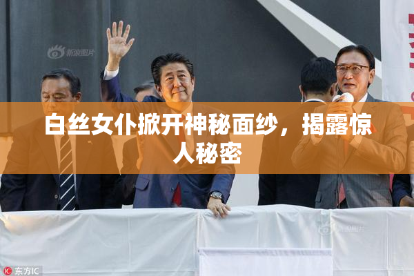 白丝女仆掀开神秘面纱，揭露惊人秘密