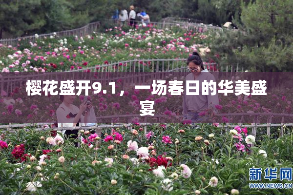 樱花盛开9.1，一场春日的华美盛宴