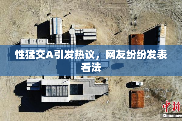 性猛交A引发热议，网友纷纷发表看法