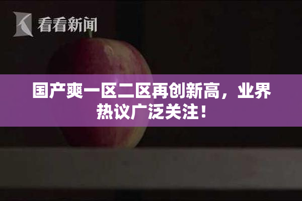 国产爽一区二区再创新高，业界热议广泛关注！