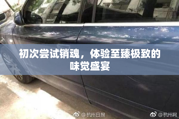 初次尝试销魂，体验至臻极致的味觉盛宴