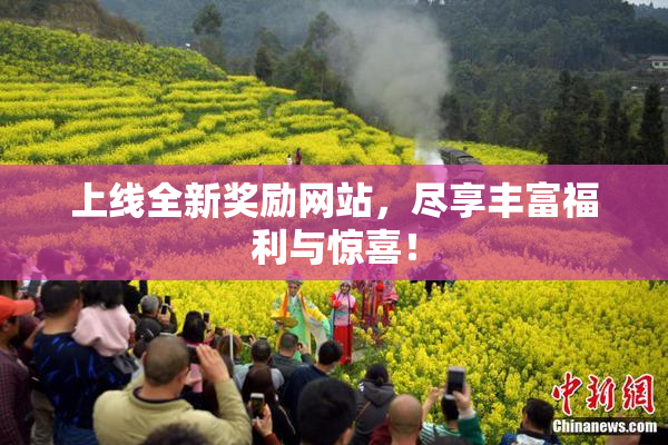 上线全新奖励网站，尽享丰富福利与惊喜！