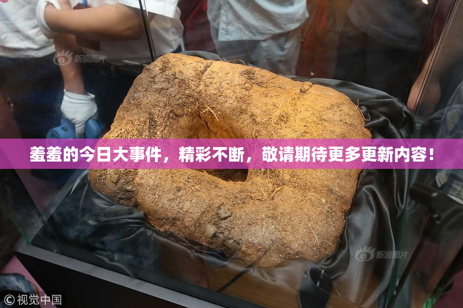 羞羞的今日大事件，精彩不断，敬请期待更多更新内容！