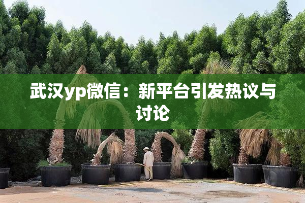 武汉yp微信：新平台引发热议与讨论