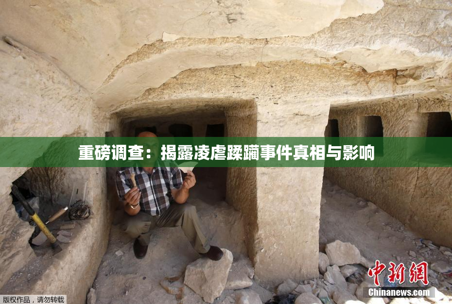 重磅调查：揭露凌虐蹂躏事件真相与影响
